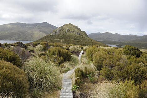 21 Jan 27 - Campbell Island