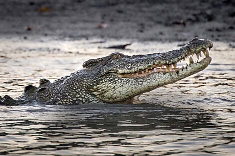 19 Jul 27 - Darwin