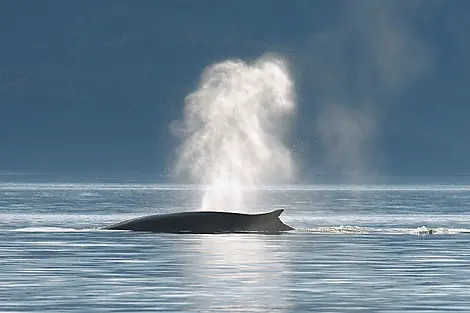 9 Aug 27 - Sailing River Saint Lawrence and going through its locks