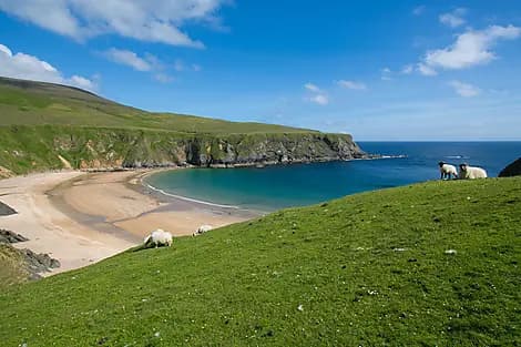 15 Apr 26 - Killybegs