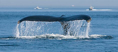 10 Aug 27 - Tadoussac