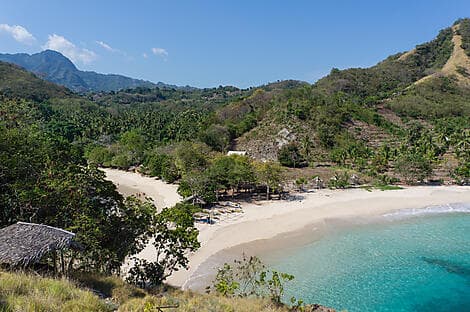 19 Nov 26 - Maumere, Flores