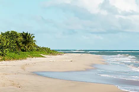 28 Feb 26 - Vieux Fort