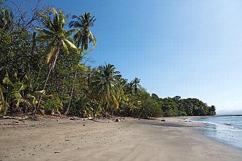 11 Mar 26 - Cébaco Island