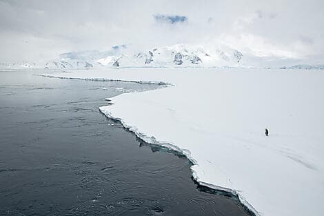 9 Dec 25 - The Gullet