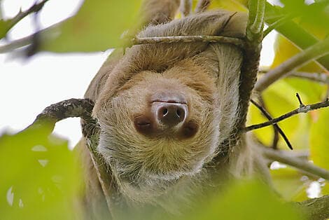 19 Mar 27 - Puntarenas