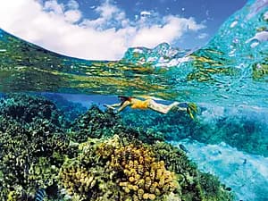 Pure snorkelling with reef discovery