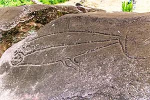 Omoa petroglyphs walk
