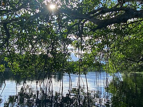 10 Dec 25 - La Ensenada