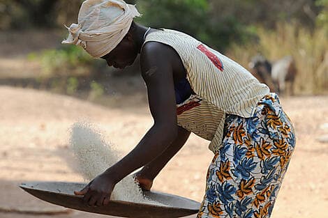 30 Nov 25 > 1 Dec 25 - Canhabaque, Bijagos