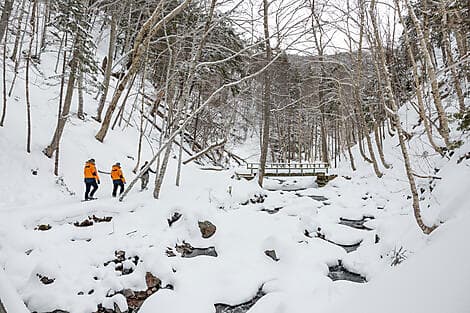 21 Feb 27 - Corner Brook