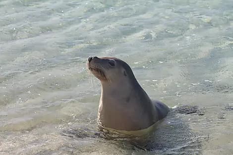 7 Aug 27 - Jurien Bay Marine Park