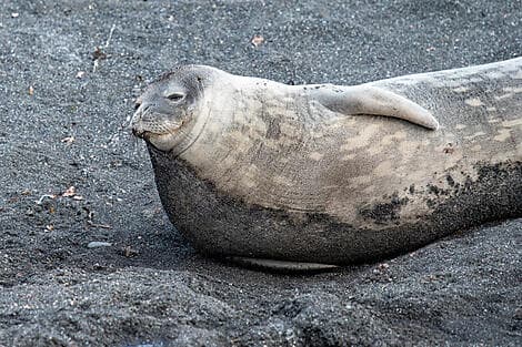 8 Mar 26 > 9 Mar 26 - French Southern and Antarctic Lands