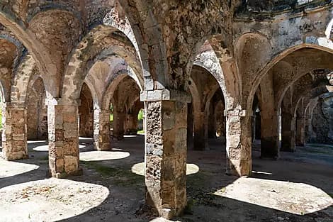 11 Feb 26 - Kilwa Kisiwani