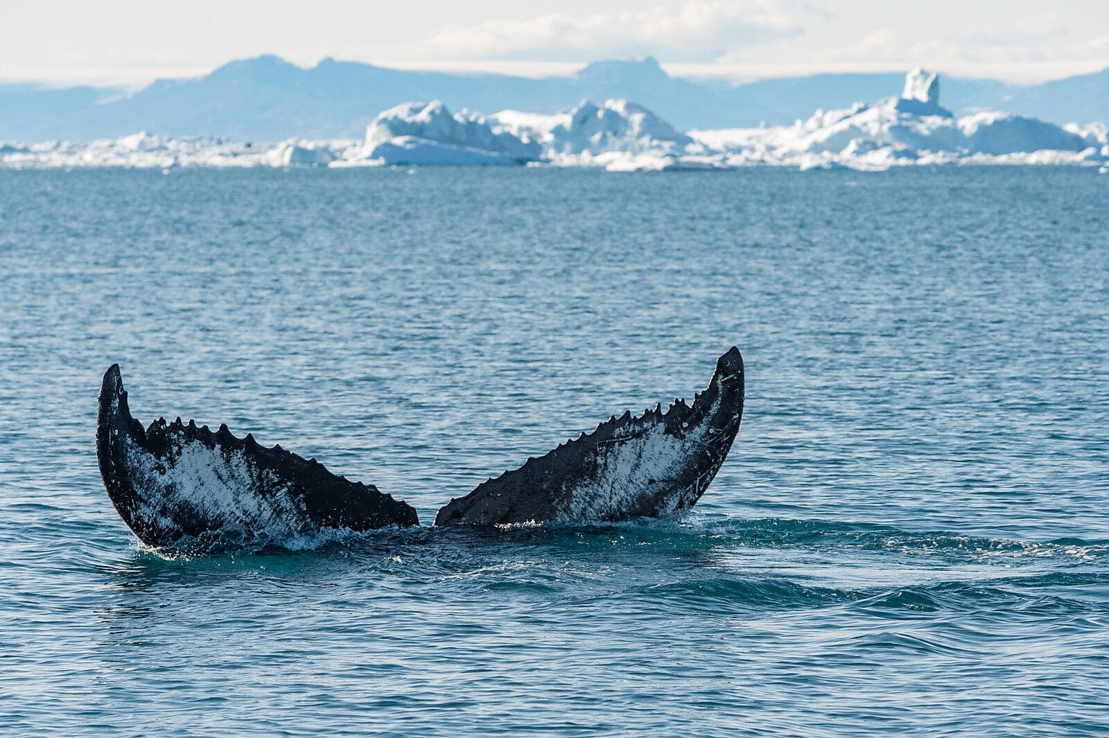 In the heart of the Northwest Passage ©StudioPONANT-Laurence Fischer