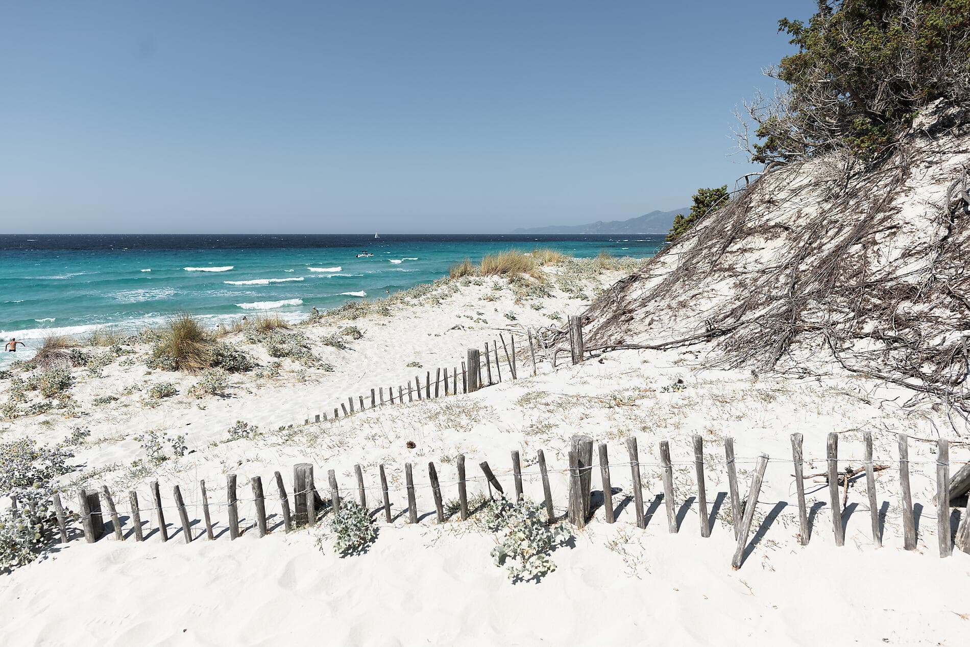 The great Corsican loop