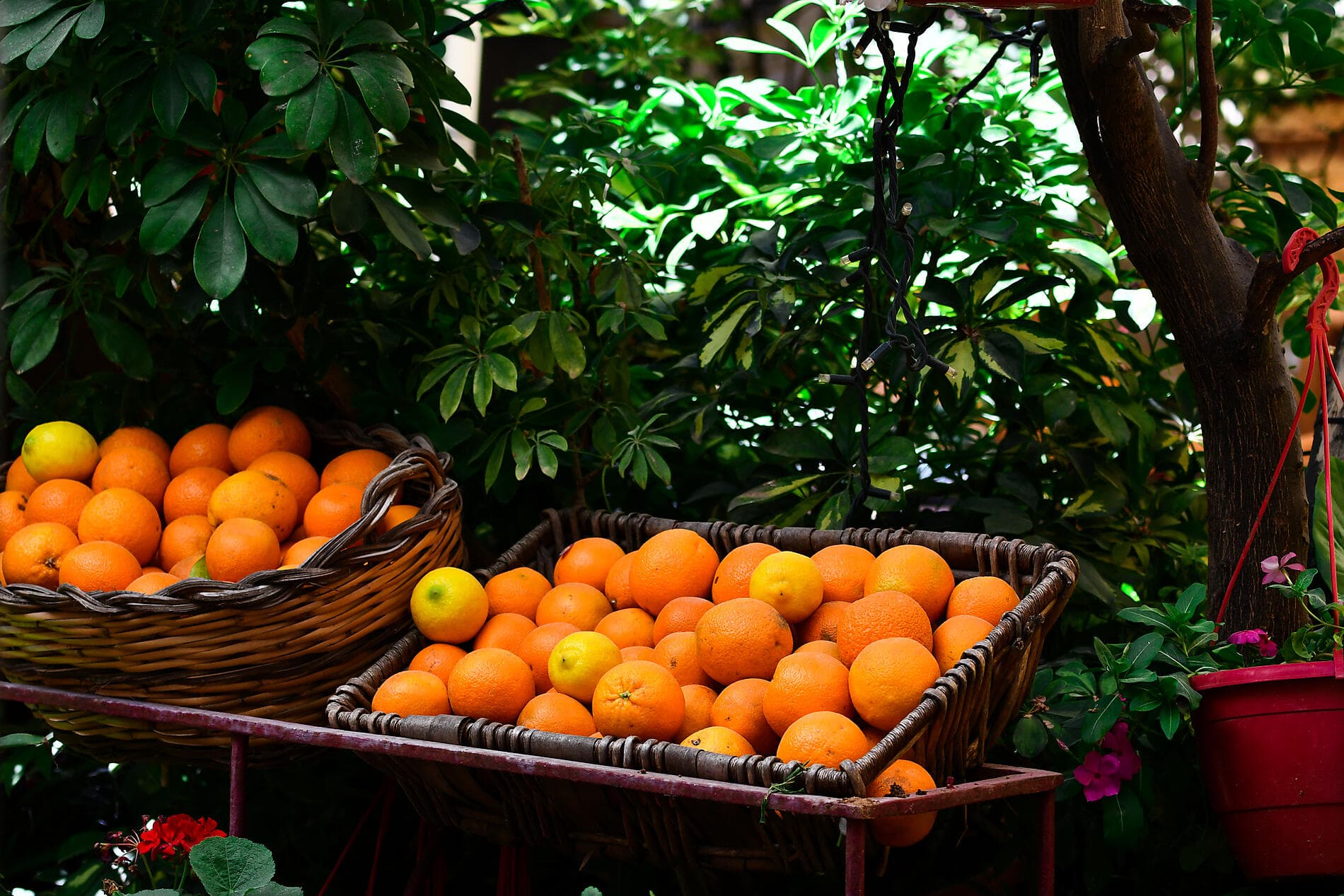 Ancient shores of the Mediterranean
