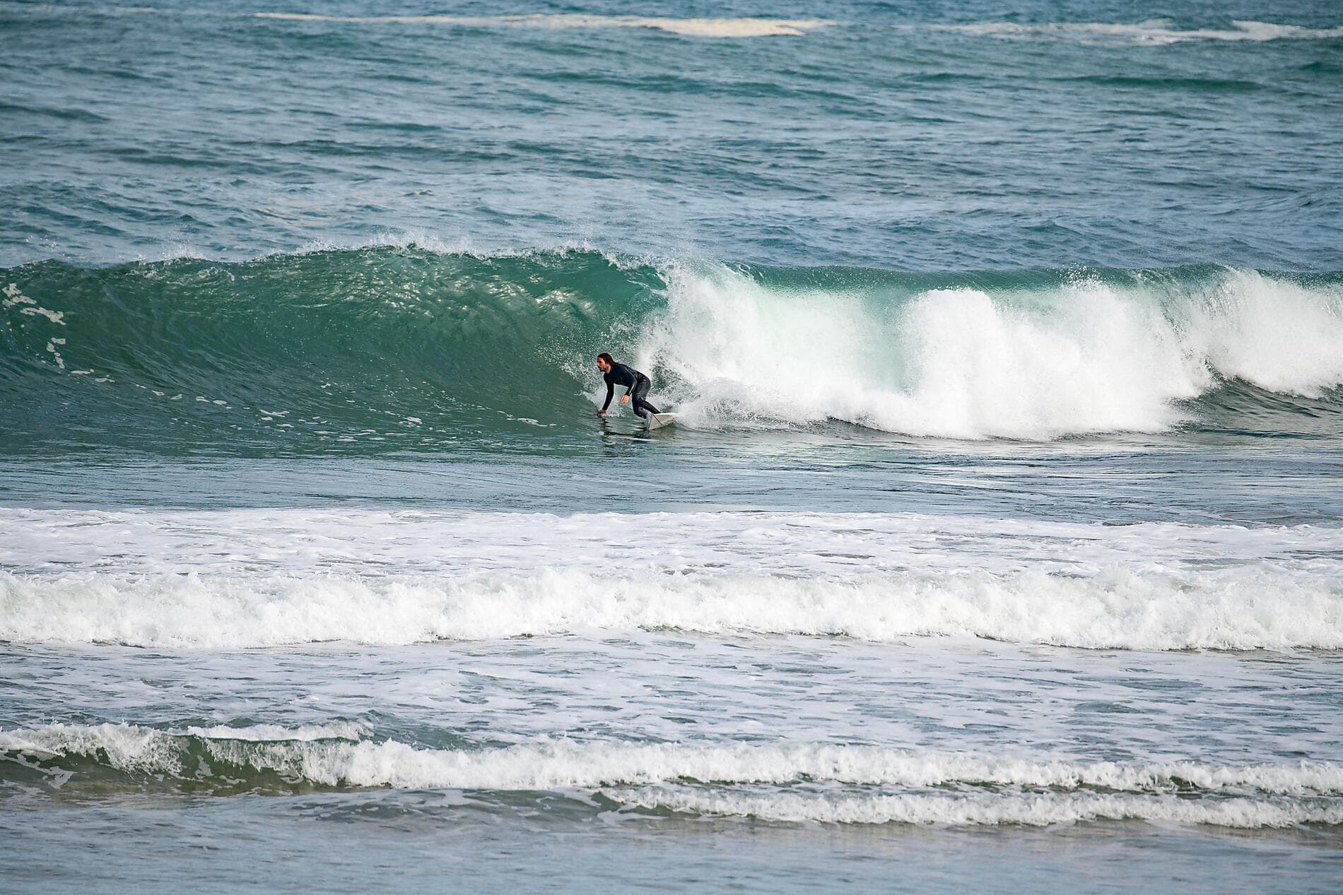 Gastronomy, Vineyards & Grands Crus 