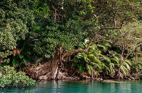 18 Apr 26 - Iriomotejima