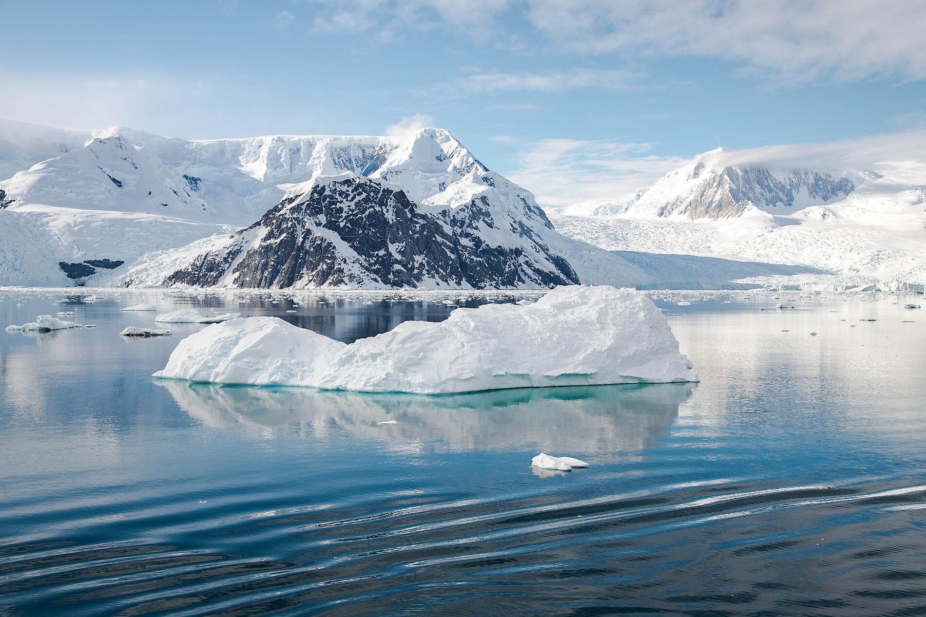 Emblematic Antarctica 