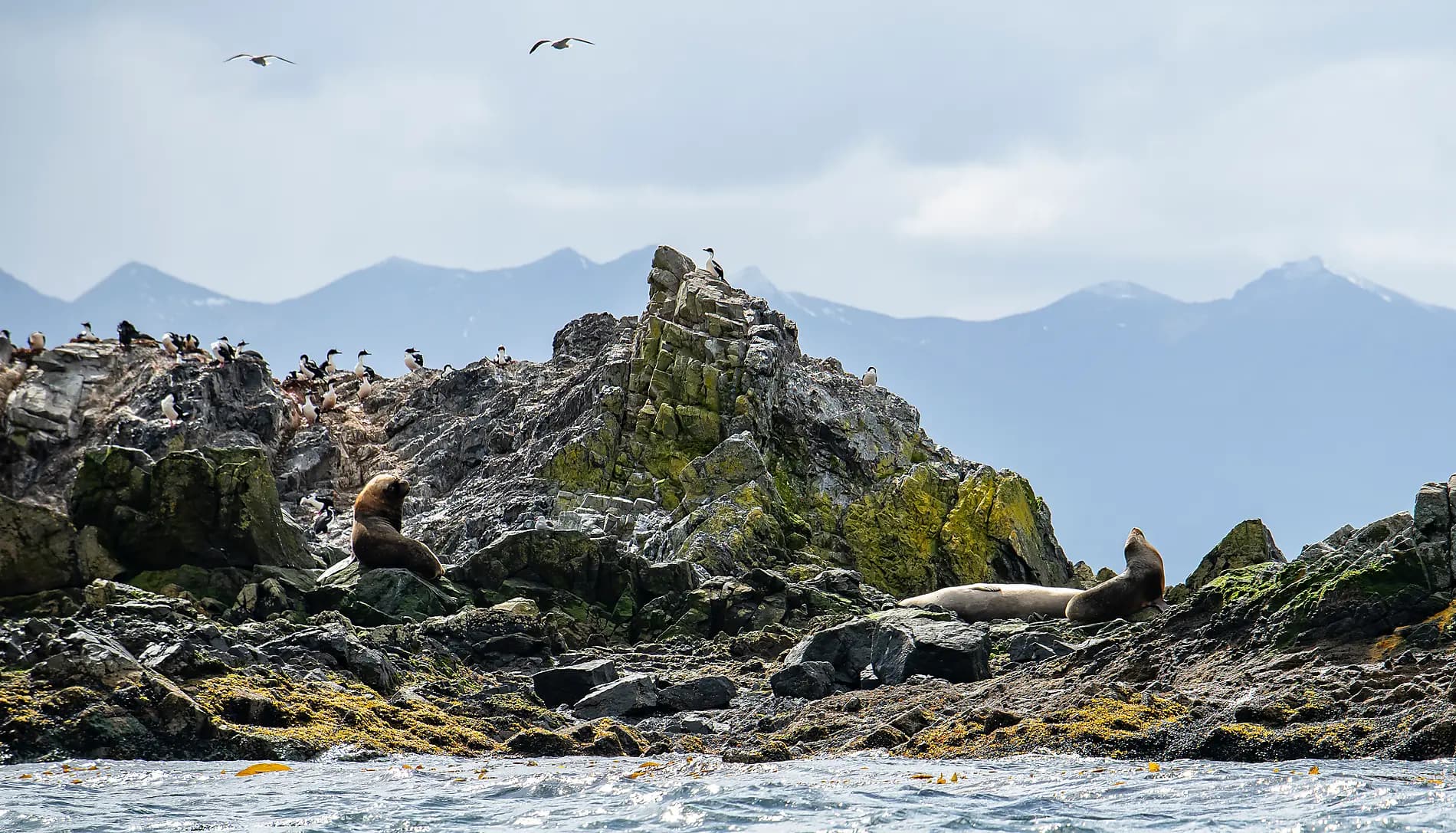 The best of Chilean Fjords 