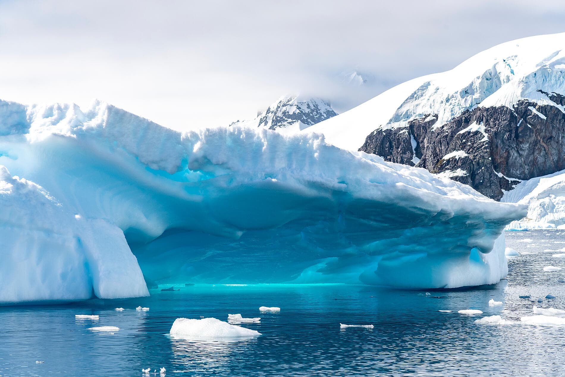 Emblematic Antarctica 