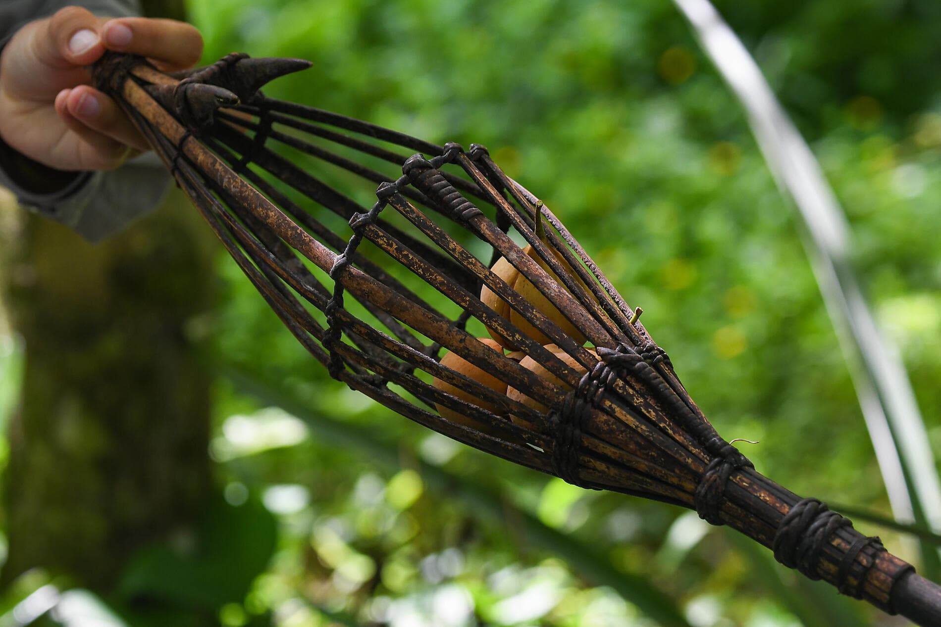 Raja Ampat and the Spice Islands 