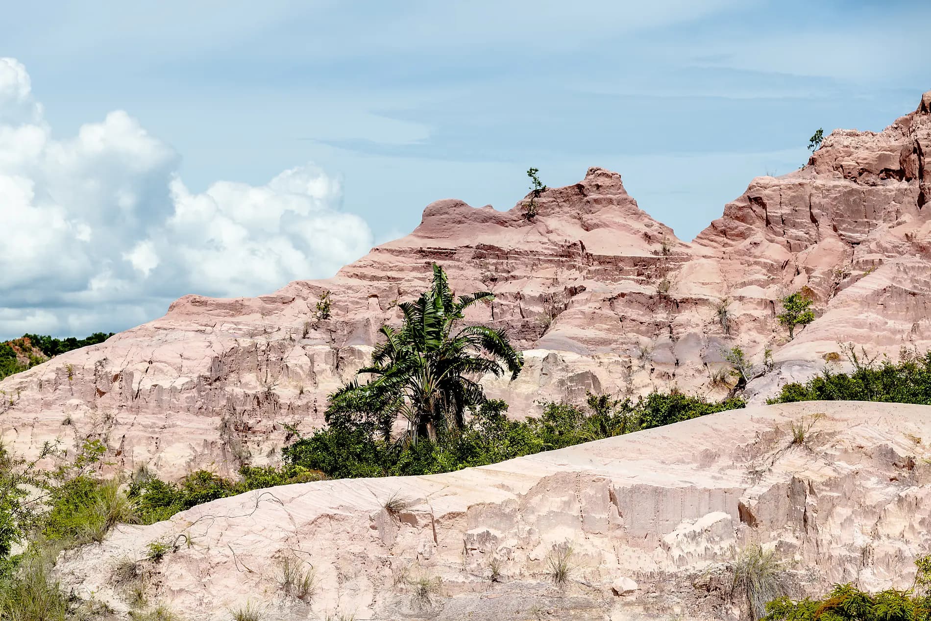 Madagascar & South Africa