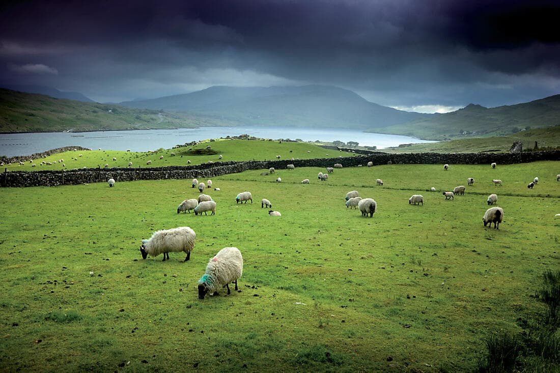 The wild beauty of Western Ireland and Connemara (4 nights)