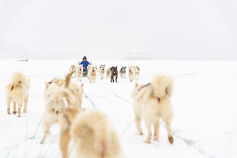4 Sept 27 - Qeqertarsuaq