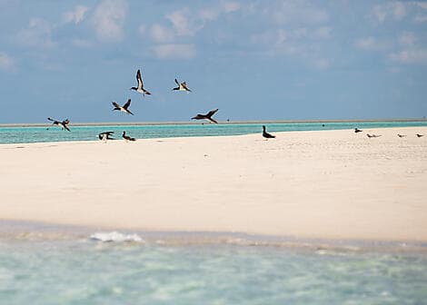 2 Jul 26 - Ashmore Reef (technical stop)