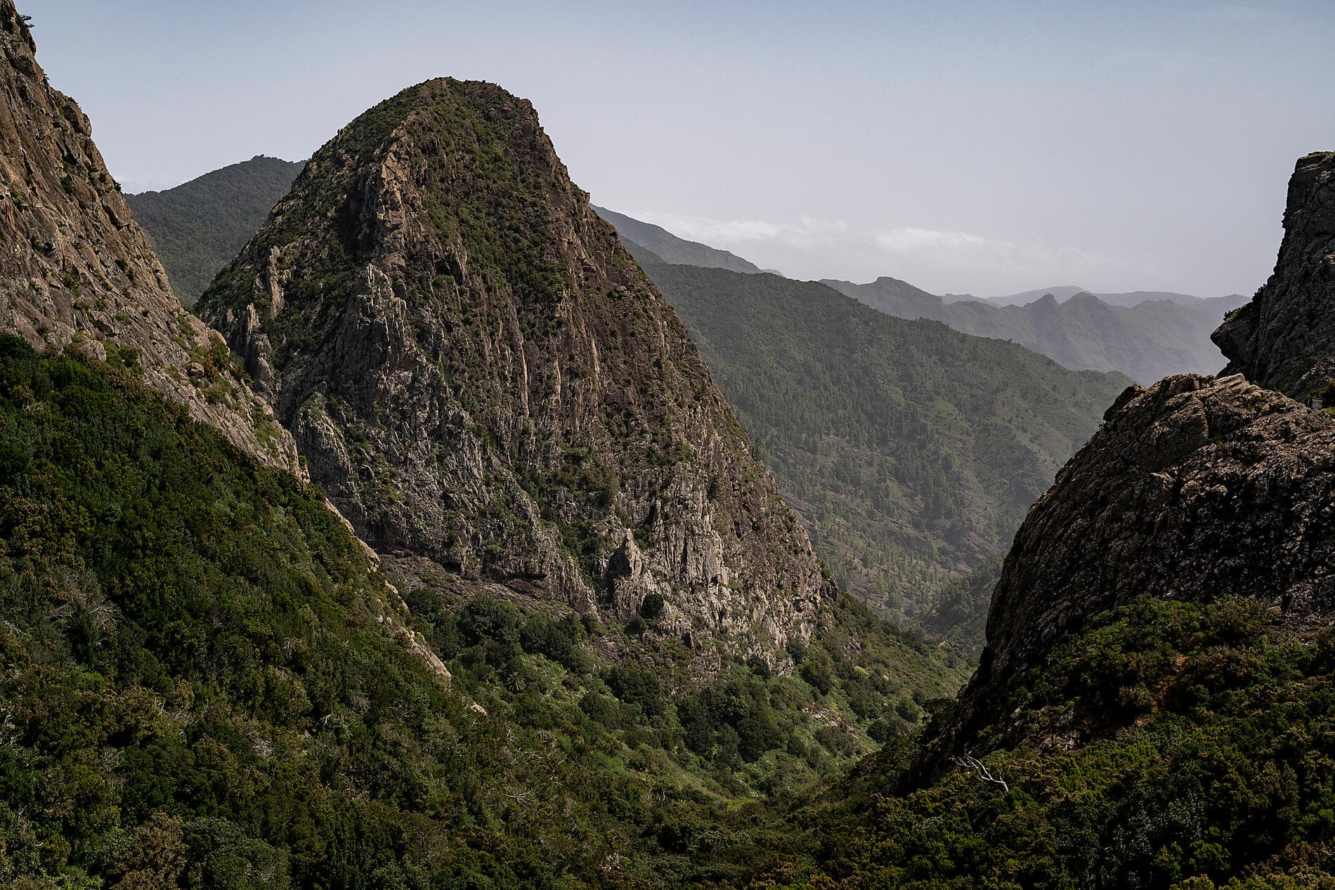 11th annual Piano Festival at Sea 