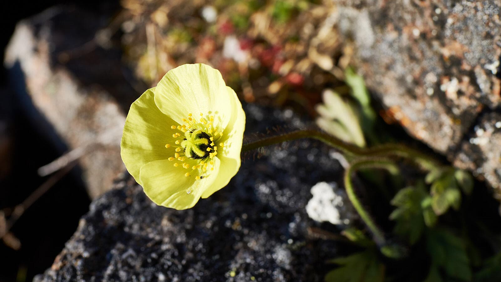 In the heart of the Northwest Passage