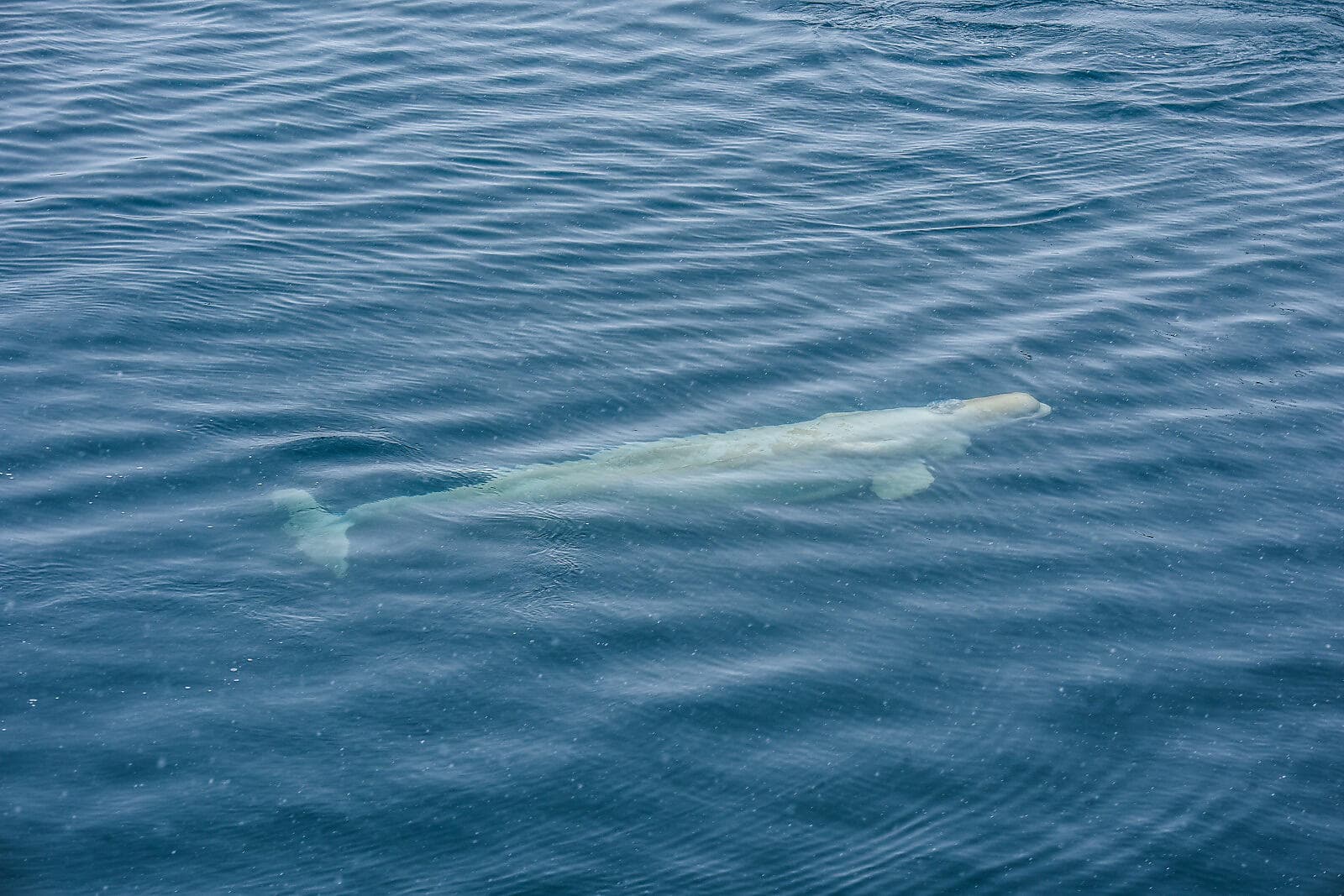 In the heart of the Northwest Passage
