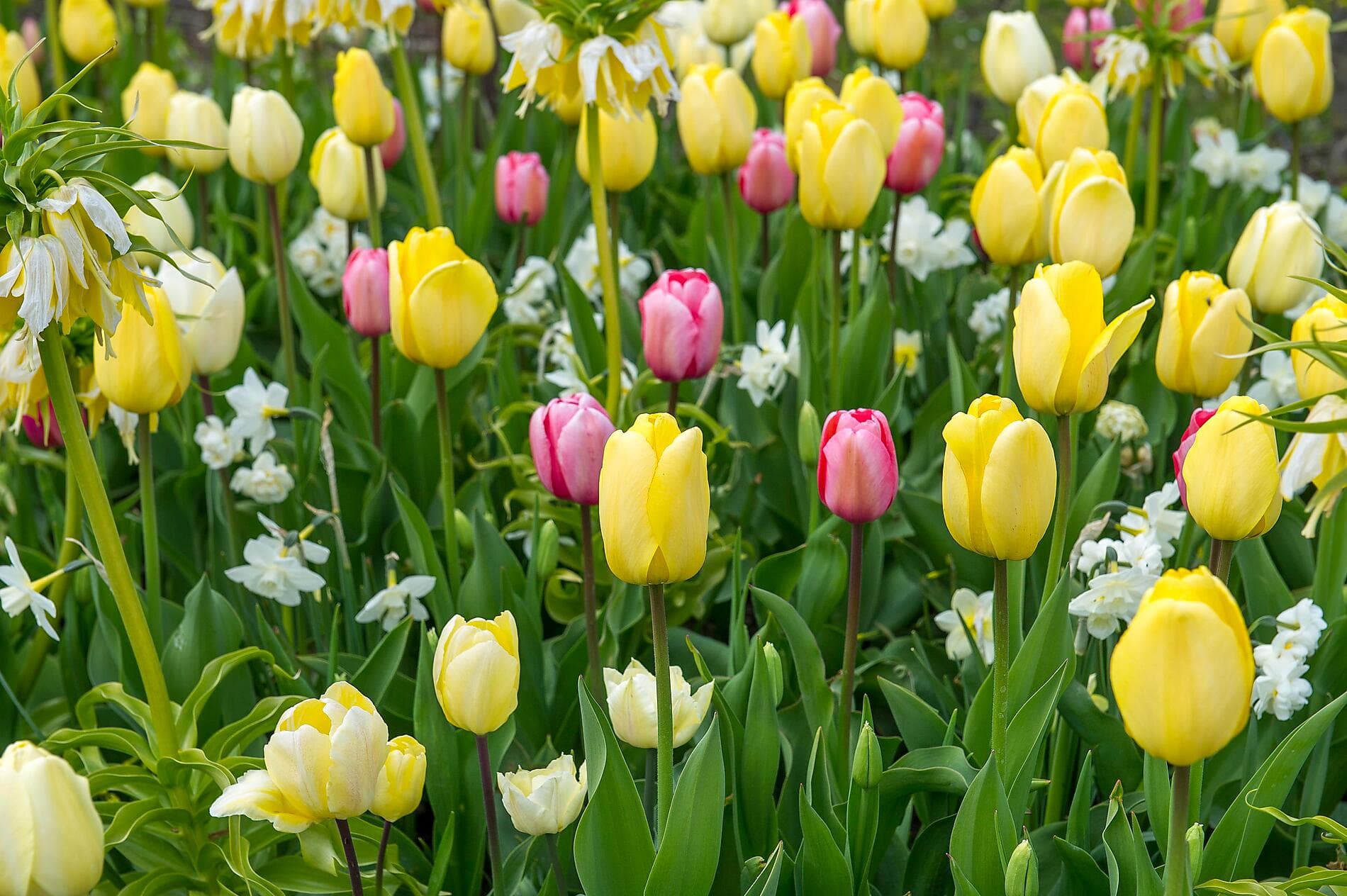 Iconic Capitals & Towns of the Baltic