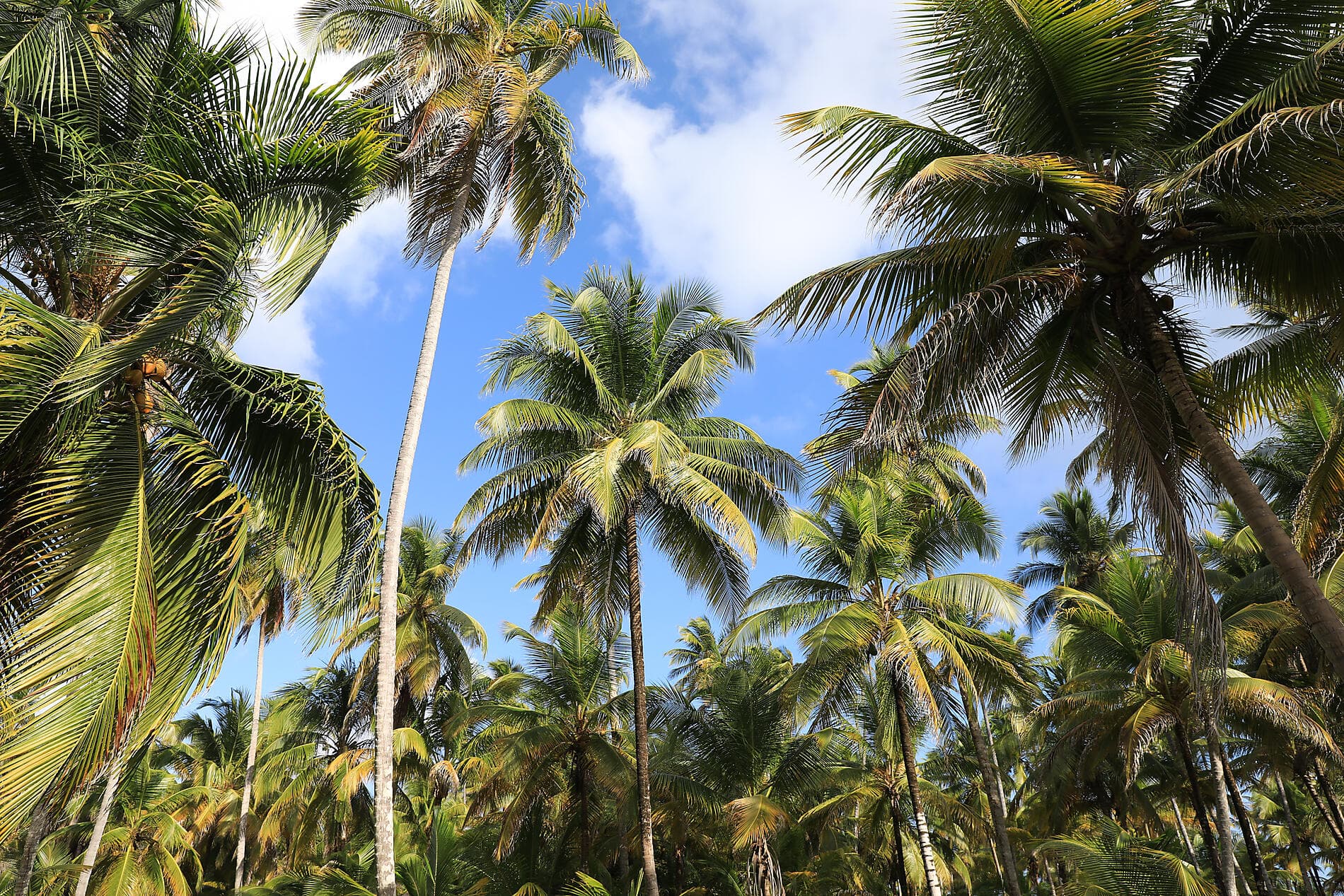 From Panama’s wild beauty to Peruvian shores 