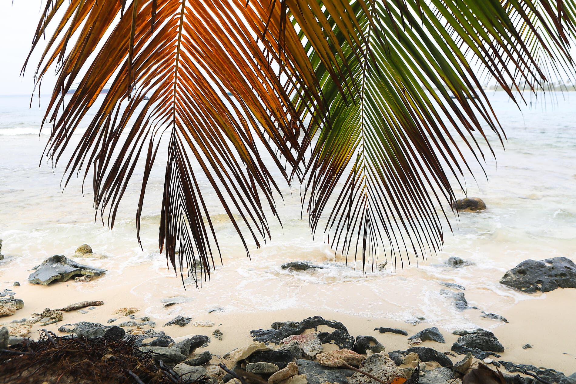 From Panama’s wild beauty to Peruvian shores 