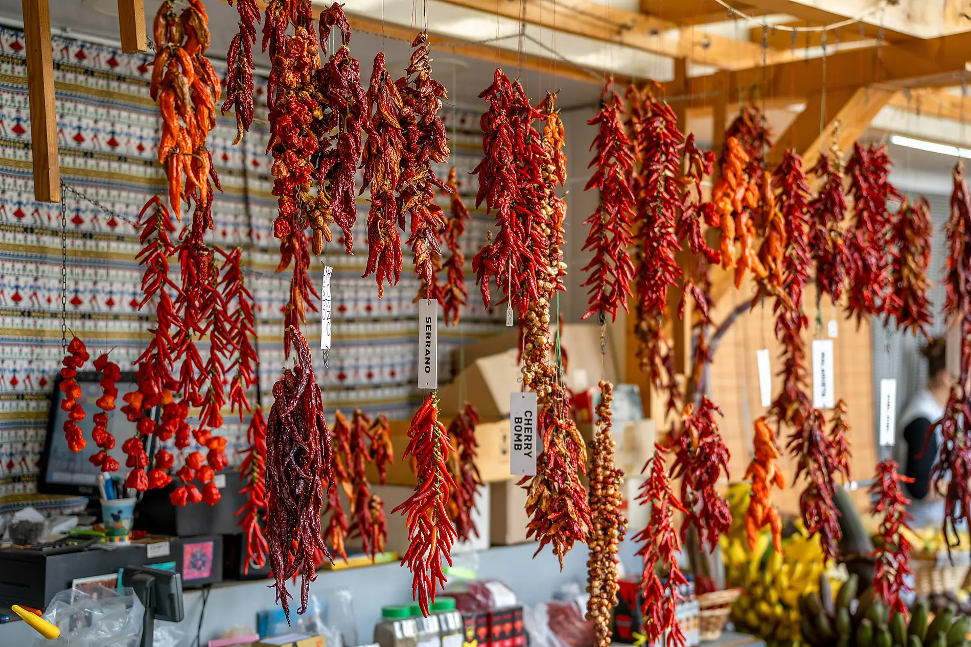 Madeira and the Azores