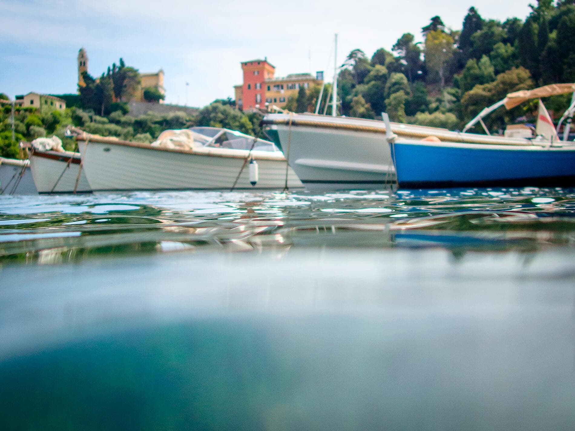 Springtime Along the Mediterranean