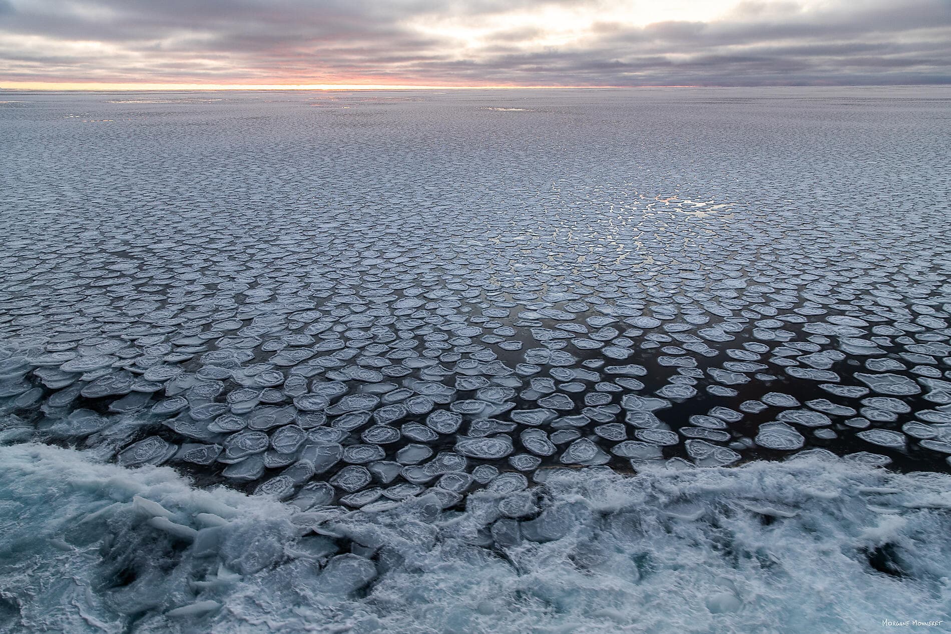 Unexplored Western Antarctica between Two Continents 