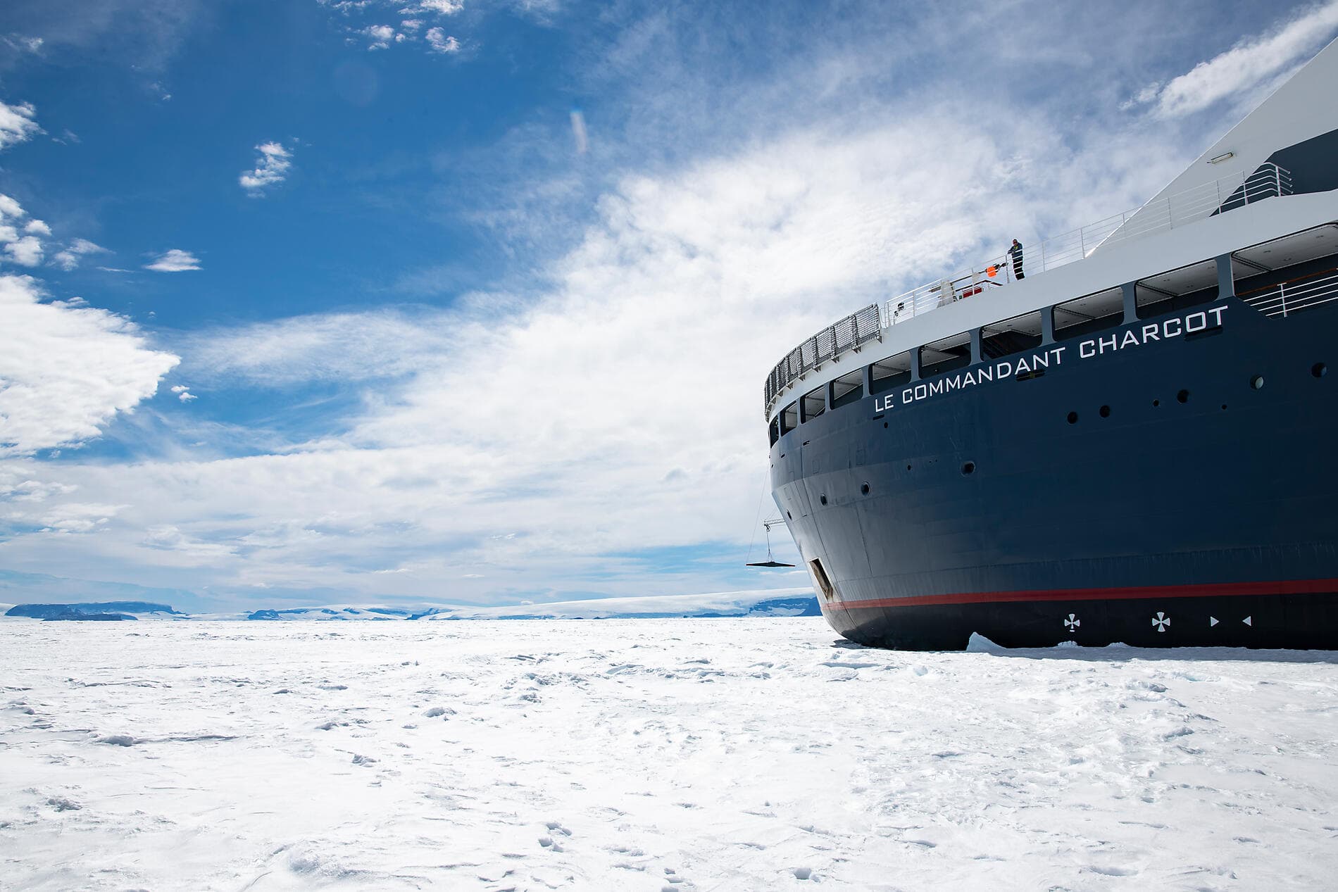 The Emperor Penguins of Weddell Sea 