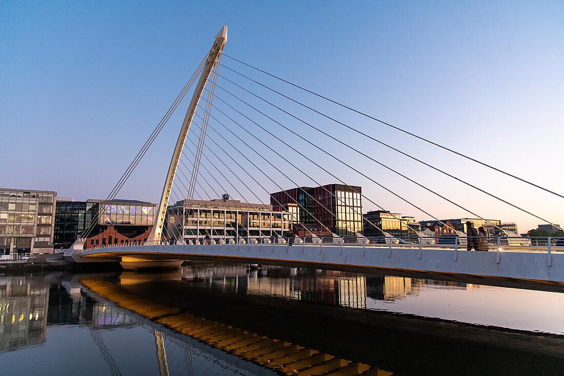 Panoramic tour of Dublin with lunch