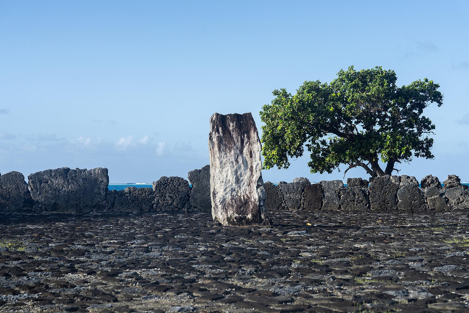 Pearls of the Society Islands 