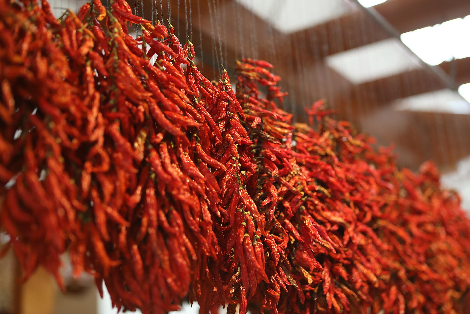 Volcanic islands and historic cities of the North Atlantic