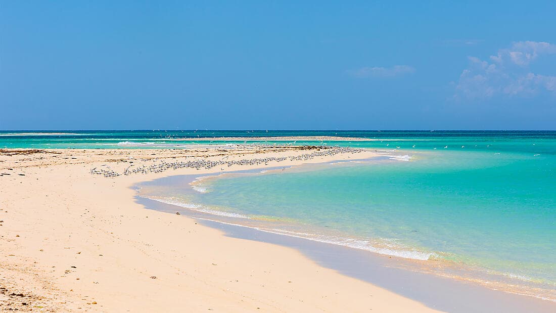 Jewels of Madagascar