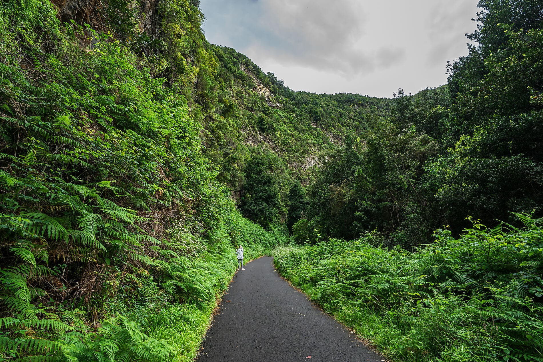 Splendours of the Canaries and authentic Madeira 