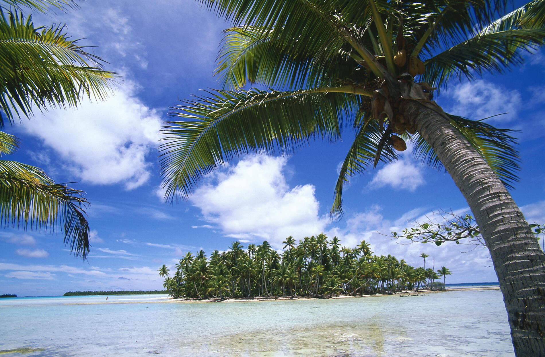 From Secluded French Polynesia to Pitcairn Island