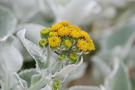 23 Dec 25 - Grave Cove