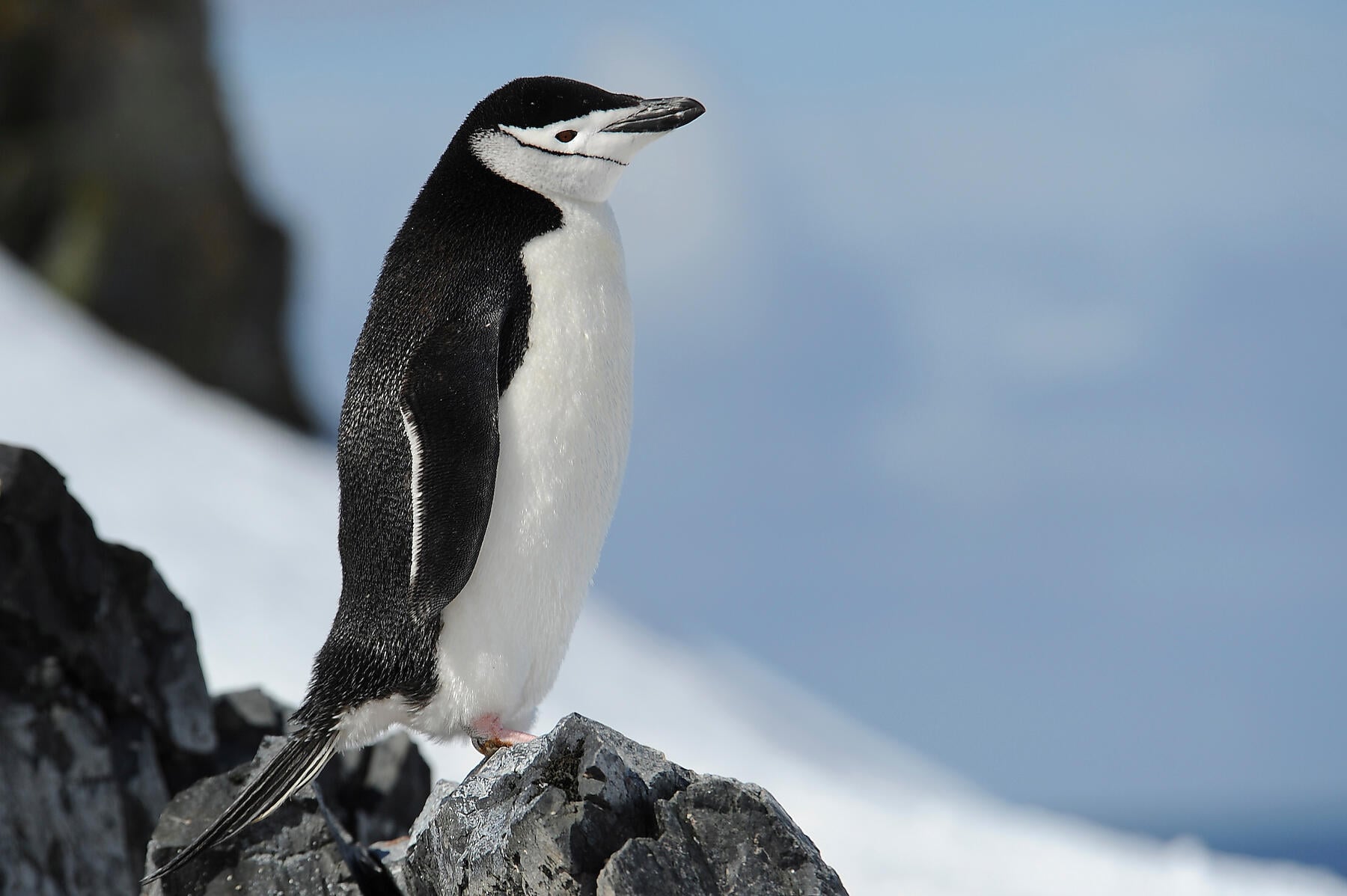 No-773_Nathalie Michel.jpg