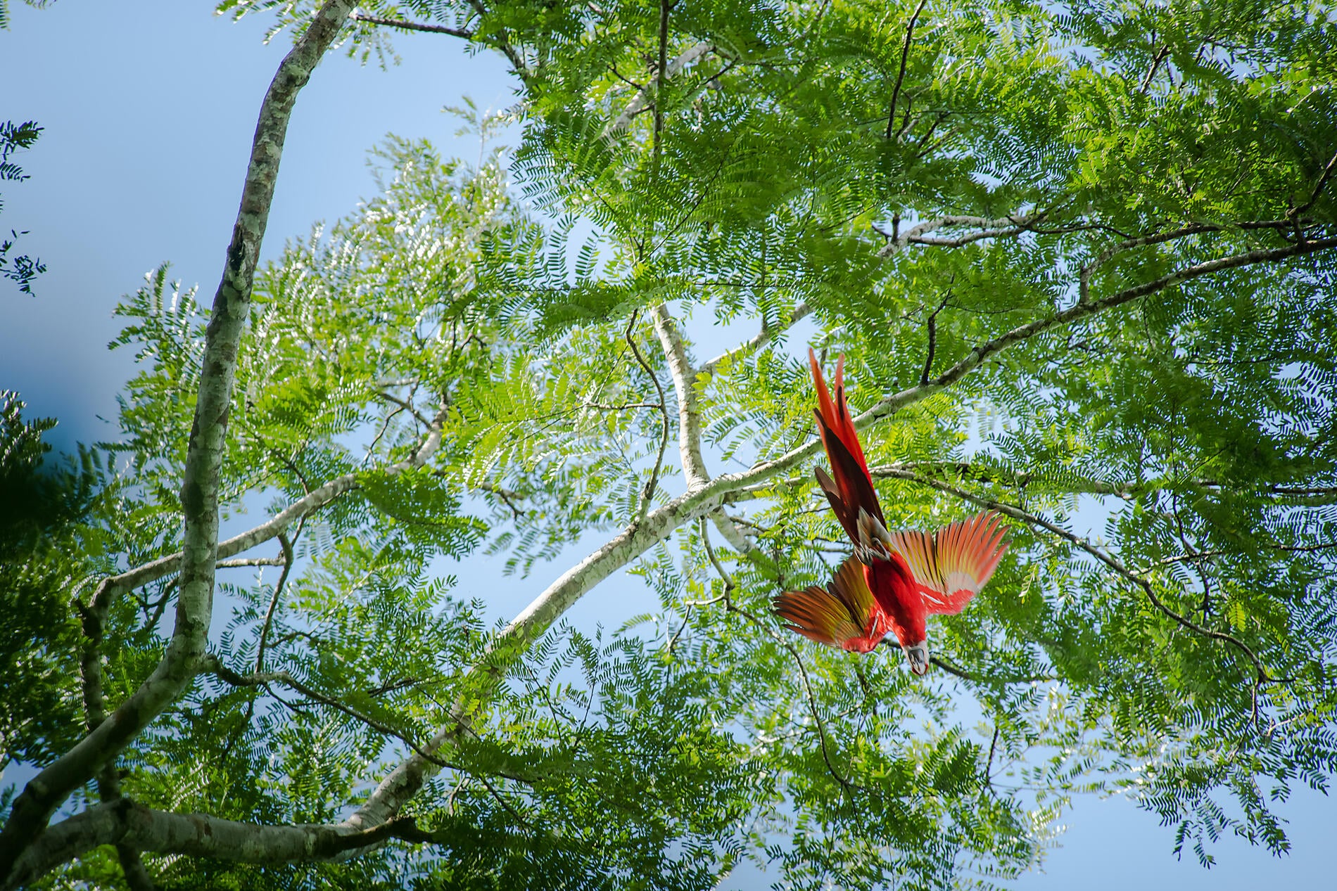 Pacific Coast of Costa Rica Pacific Coast of Costa Rica